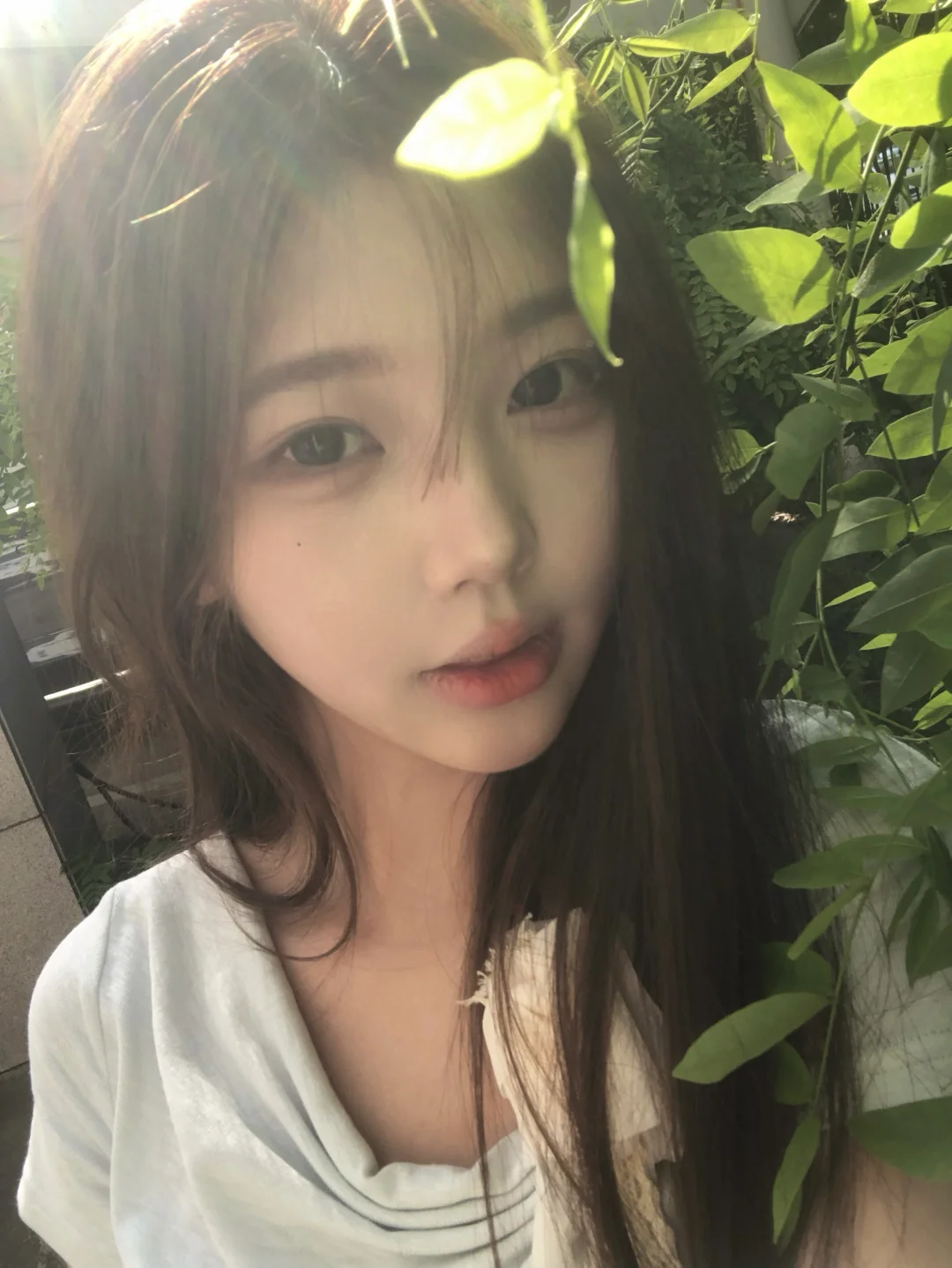 光合作用🍃