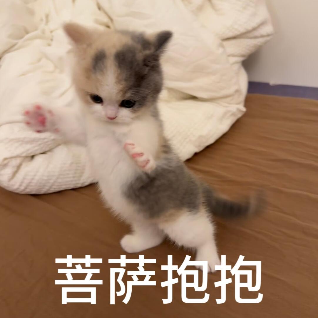 请不要停止收藏咪的表情包！金秋壁纸大放送