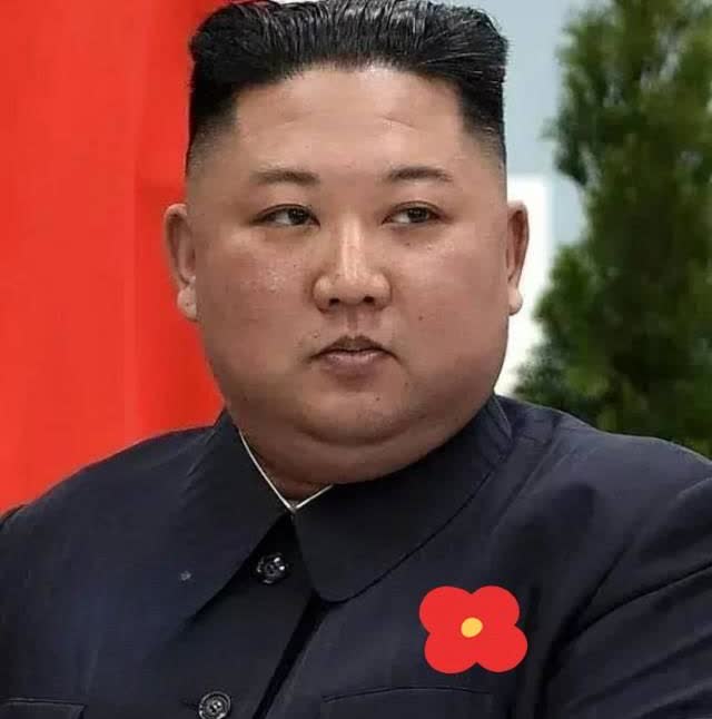 就在刚刚朝鲜正式宣布了9月13日，朝鲜副部长金与正的发言，强烈反对美韩即