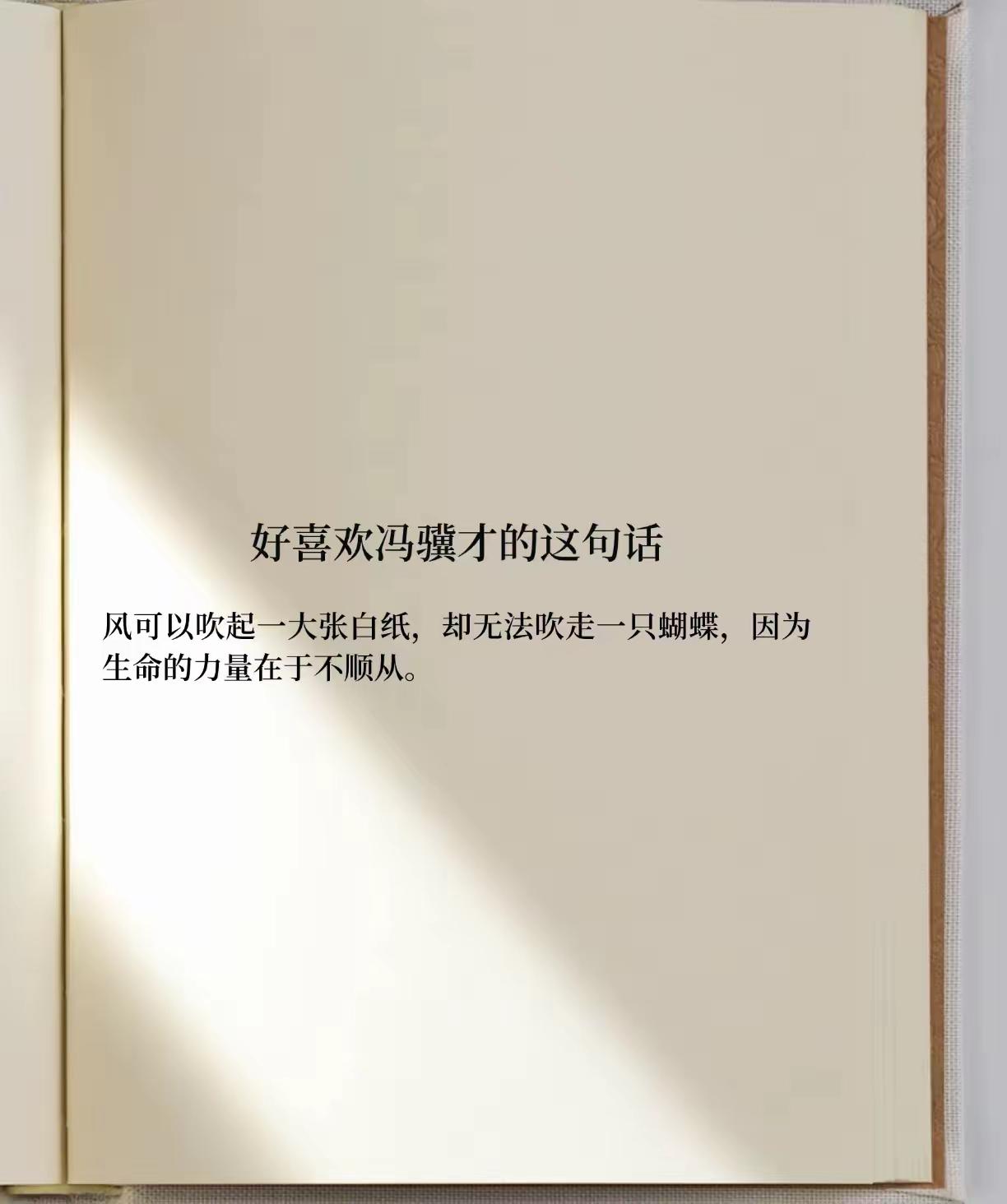 风大了蝴蝶就不出门了[汗]