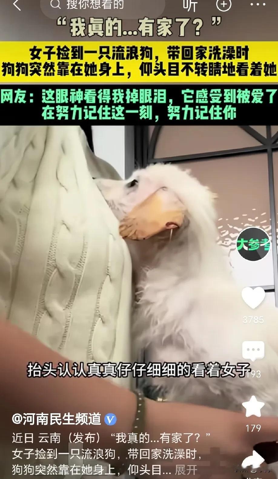 “我真的有家了吗”？云南，女子在路边捡到一只流浪狗，带回家给它洗澡时，狗狗突然依