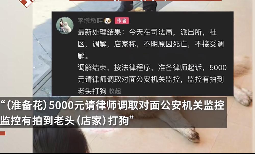 湖南永州，金毛“李墩墩”事件经过多方协商，狗主人最新发文：调解协商结束，饭店