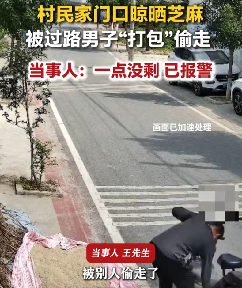 河南周口，一位村民在家门口晾晒了不少芝麻，本来是打算过年的时候榨油的，结果就一个
