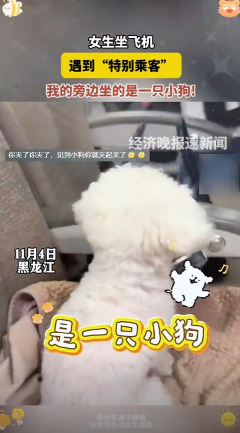 “说出来都没人信！”黑龙江，一女子坐飞机返程，刚上飞机找到座位，空姐就走过来对她