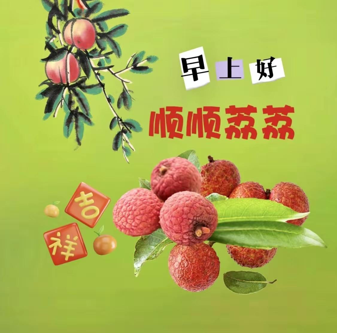 醒来就想跟我的粉丝宝子和友友们说声早安呀！谢谢你们一直以来的陪伴与支持，像小太阳