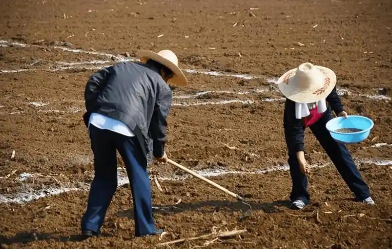 身价5亿开兰博基尼种地，一年净赚1200块！这不是段子，是英国顶配农场主的真实账
