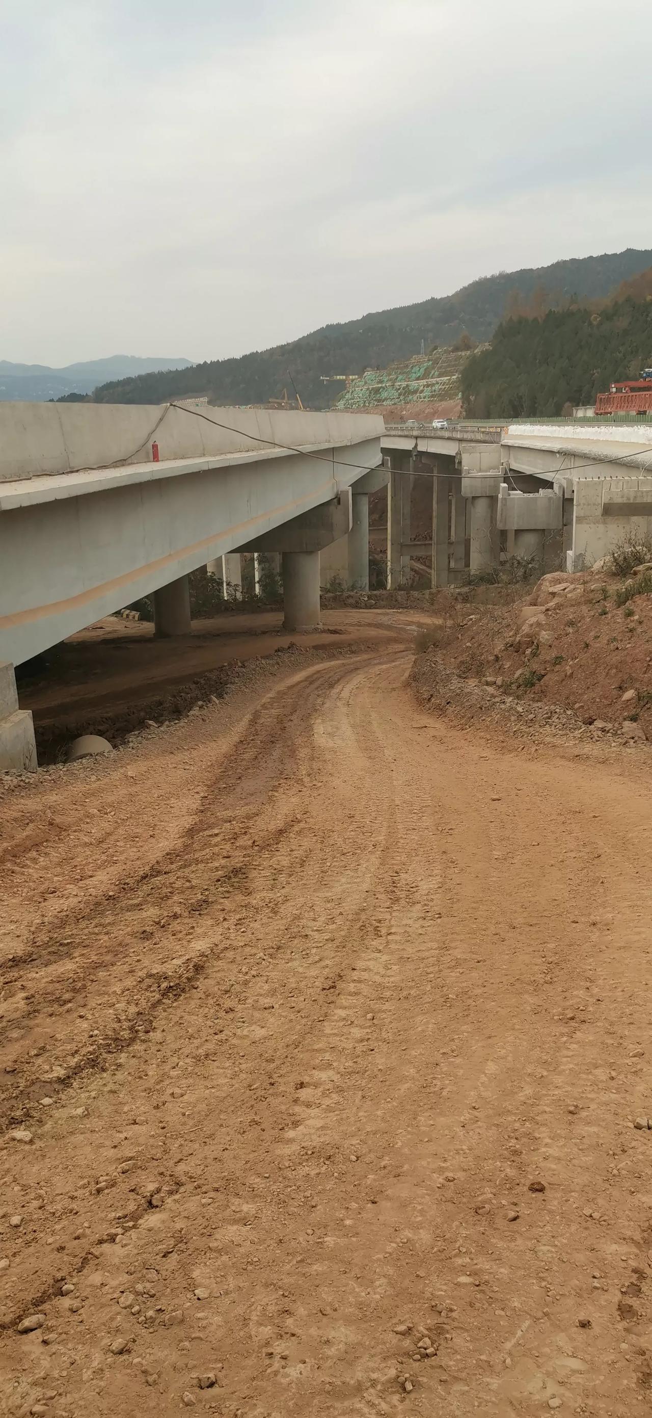 以前混个公司管理早上一杯茶下午一杯茶没有风吹日晒没有早起贪黑现在