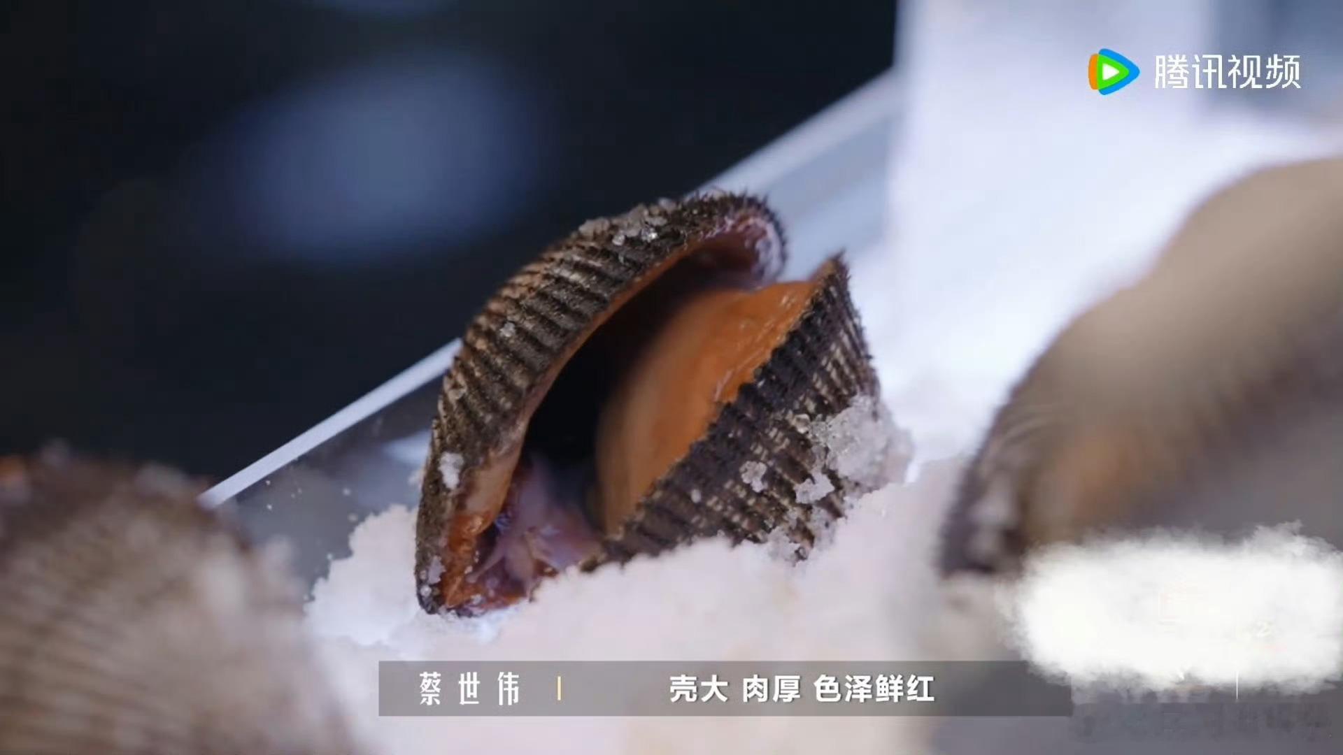 国家级认证食材有多难得赤贝原来是东北家乡菜🧂国家级认证的旅顺赤贝吃法丰富多样，