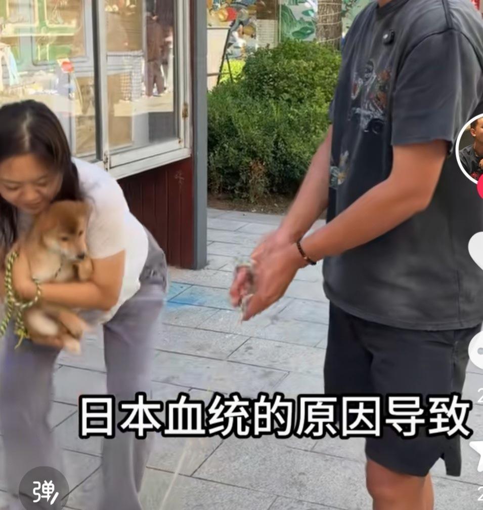新房子已经入住了，小朋友想养个宠物，最近我也在看一些相关的内容，觉得小“土狗”还