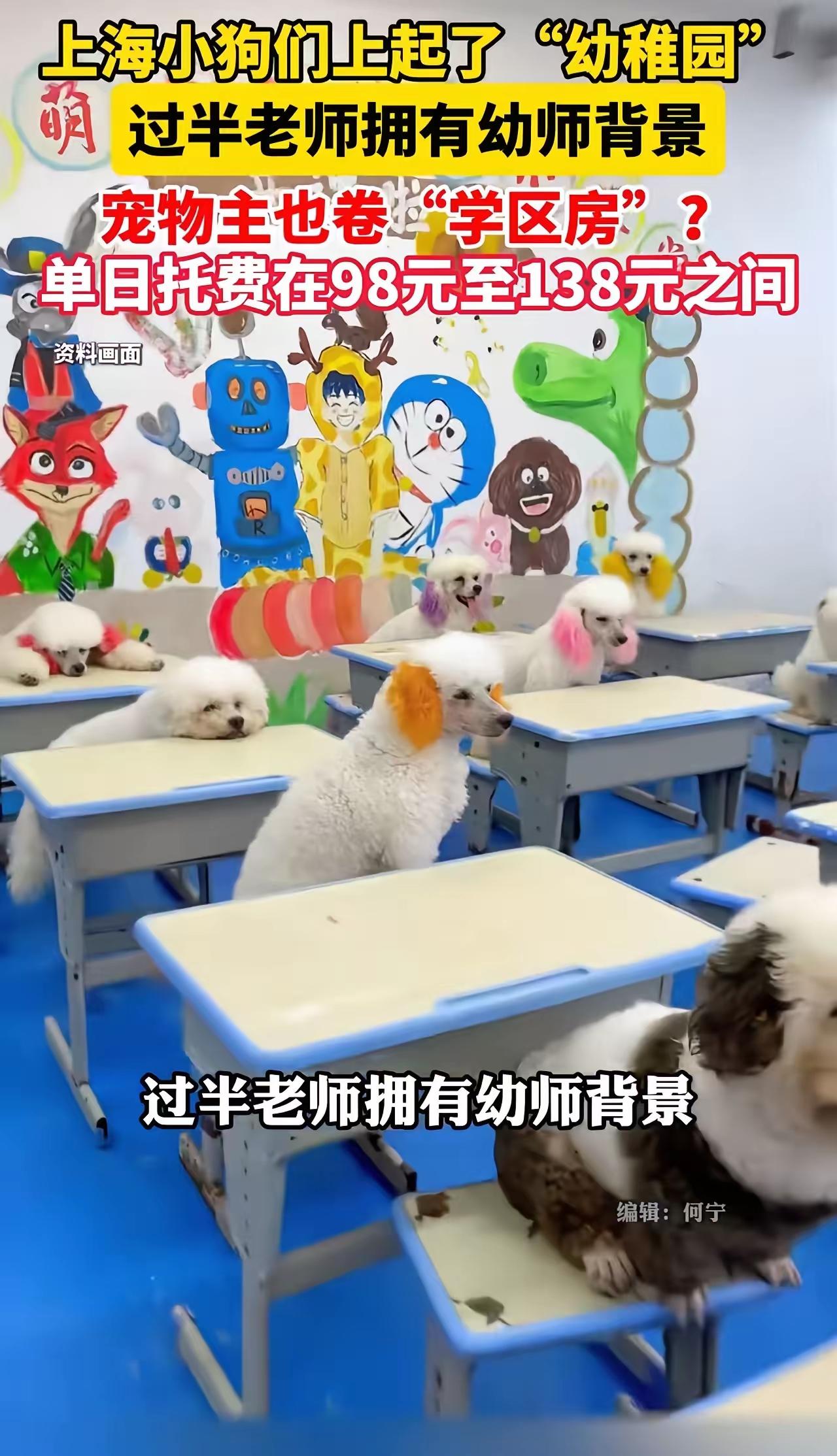 上海狗子上幼儿园，老师持证上岗！网友破防：我活得还不如一条狗？这个世界是不是