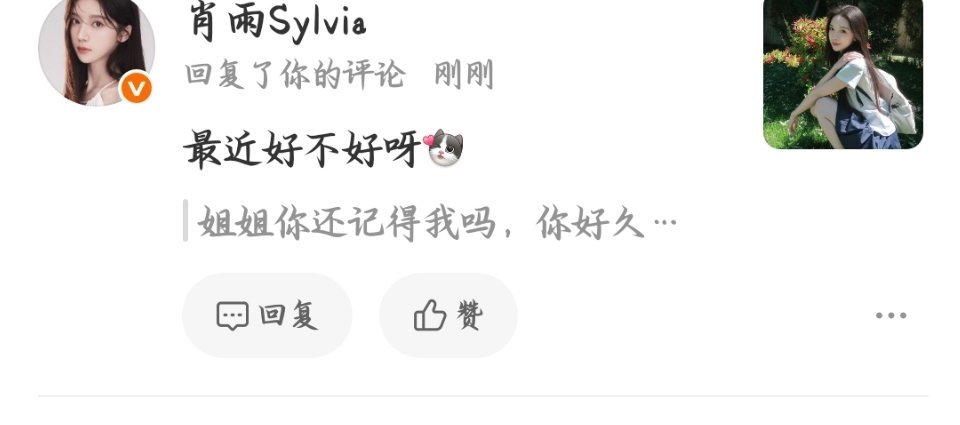 我姐姐全宇宙最好