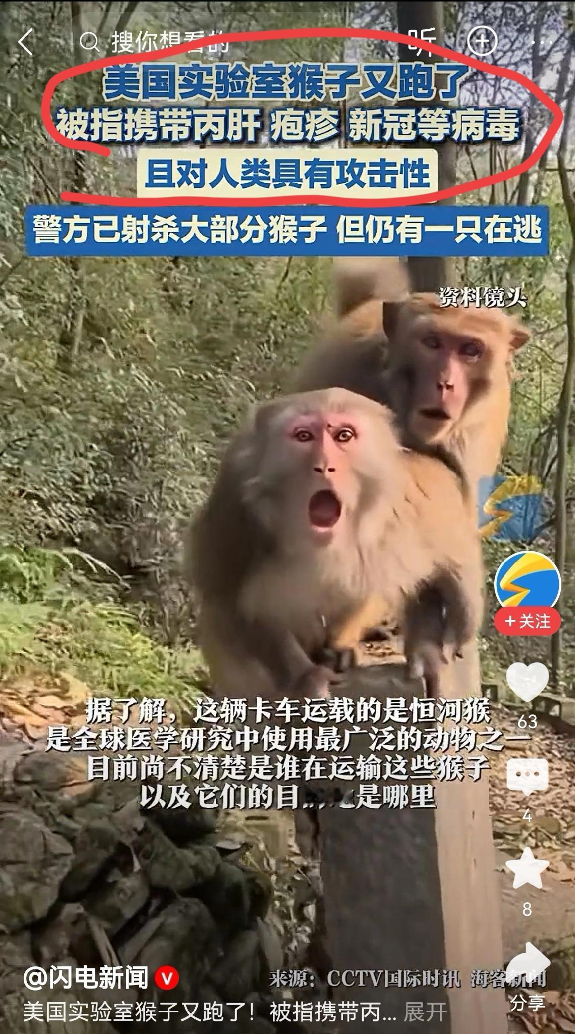 每年冬天必上节目，老美实验室的猴子又跑了。前两天就奇怪，我们北方都快