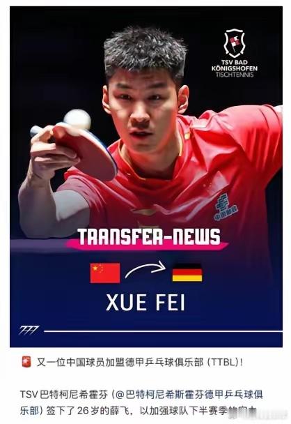 德甲俱乐部教练回应薛飞加盟继樊振东之后，又一位国乒名将加盟德甲俱乐部了！他就是薛