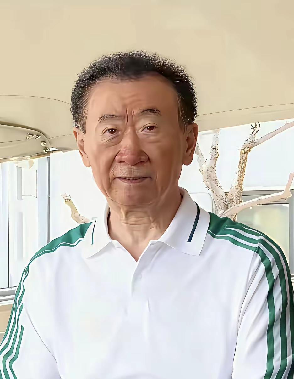 王健林是肉眼可见的沧桑了，但是不管怎么说，人家没有捅出个两万亿的窟窿。没有让