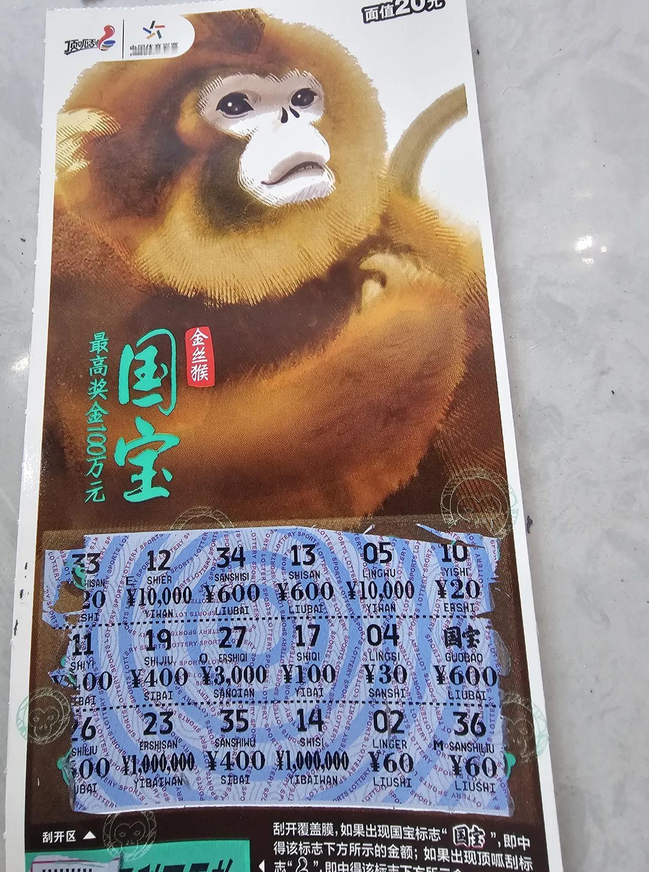 当你玩了400多块钱彩票的时候才出了一张600请问心里是什么感受？这个国宝