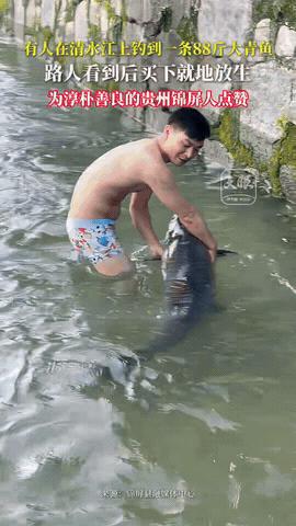 清水江边那声闷响，钓友自己都没想到拉上来的会是这样一条家伙，钓线绷得笔直，渔具险