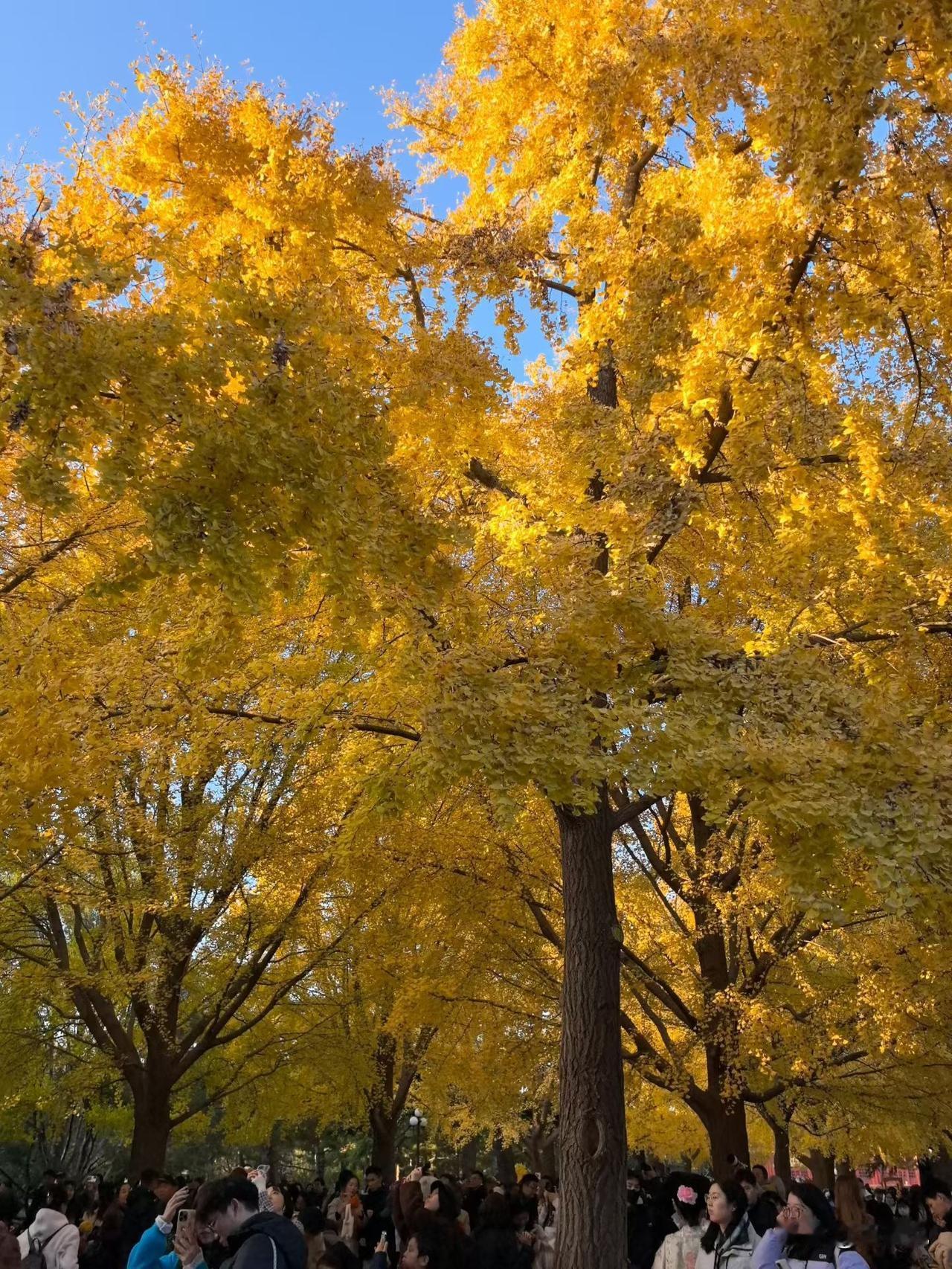 想要活出生命的长度与宽度，这十句话值得放在心上！1、宁可啃着馒头晒太阳，也不要