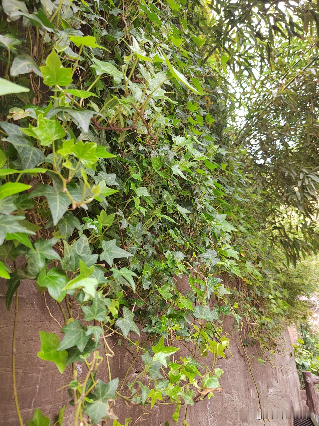 退休金高不高，你得看跟谁比！你一个月退休金2600，在我眼里就是巨款！因为呢