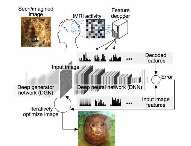 哎哟，这下连“梦”都被盯上了！脑机接口公司Neuralink首次实现梦境可视