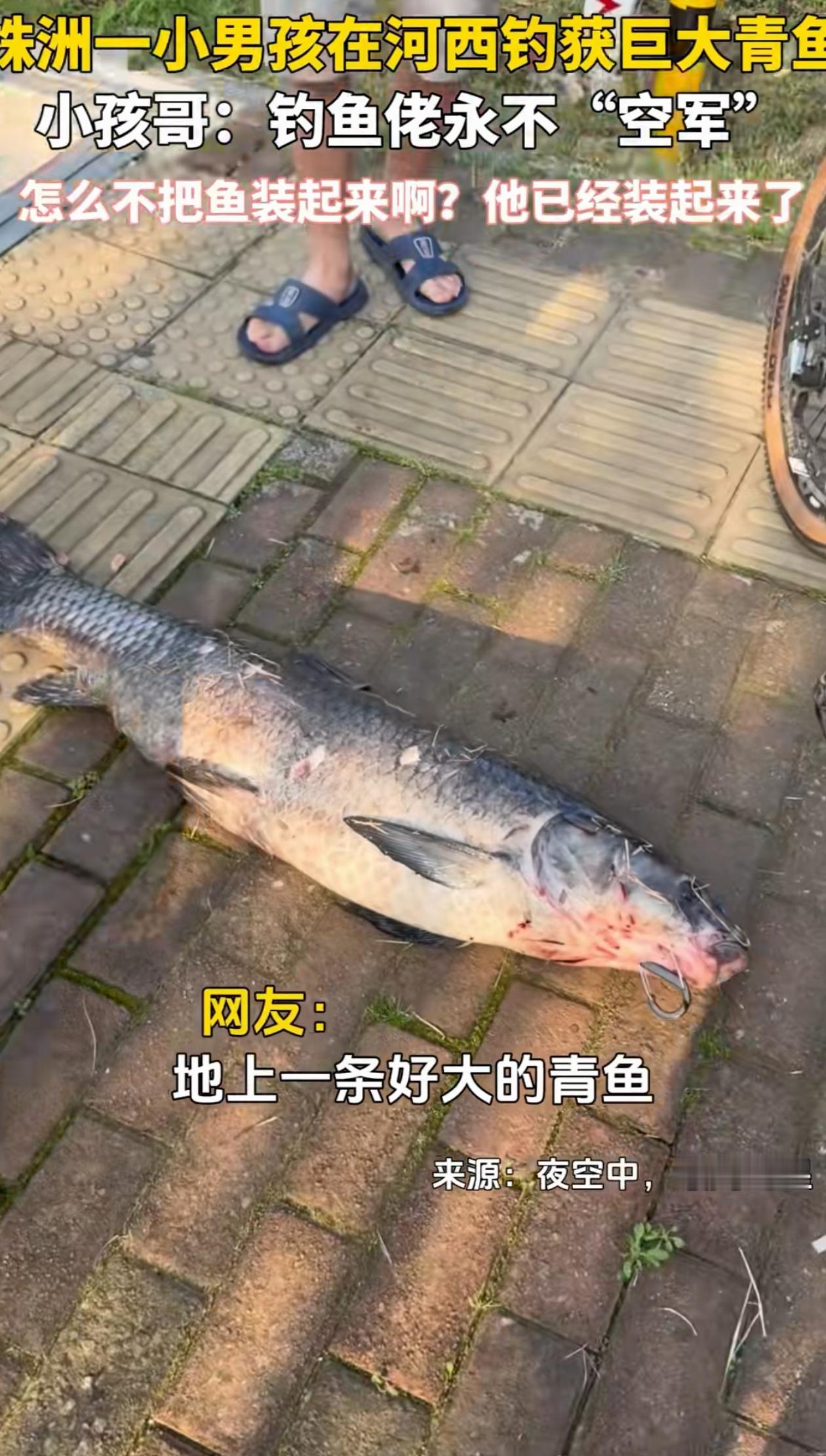 “不服不行！”湖南株洲，男子去河边公园玩，看到一个小孩哥推着单车，地上还放着一条