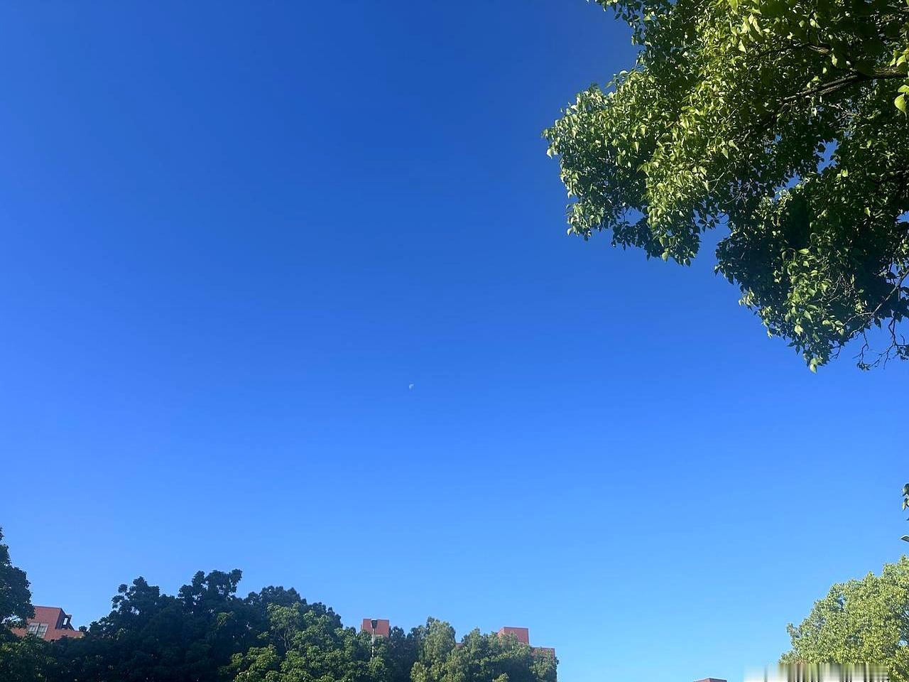 一个姑娘在网上说，男朋友的父母死活不肯见面。理由刺激：外婆离过，妈妈也离过，他