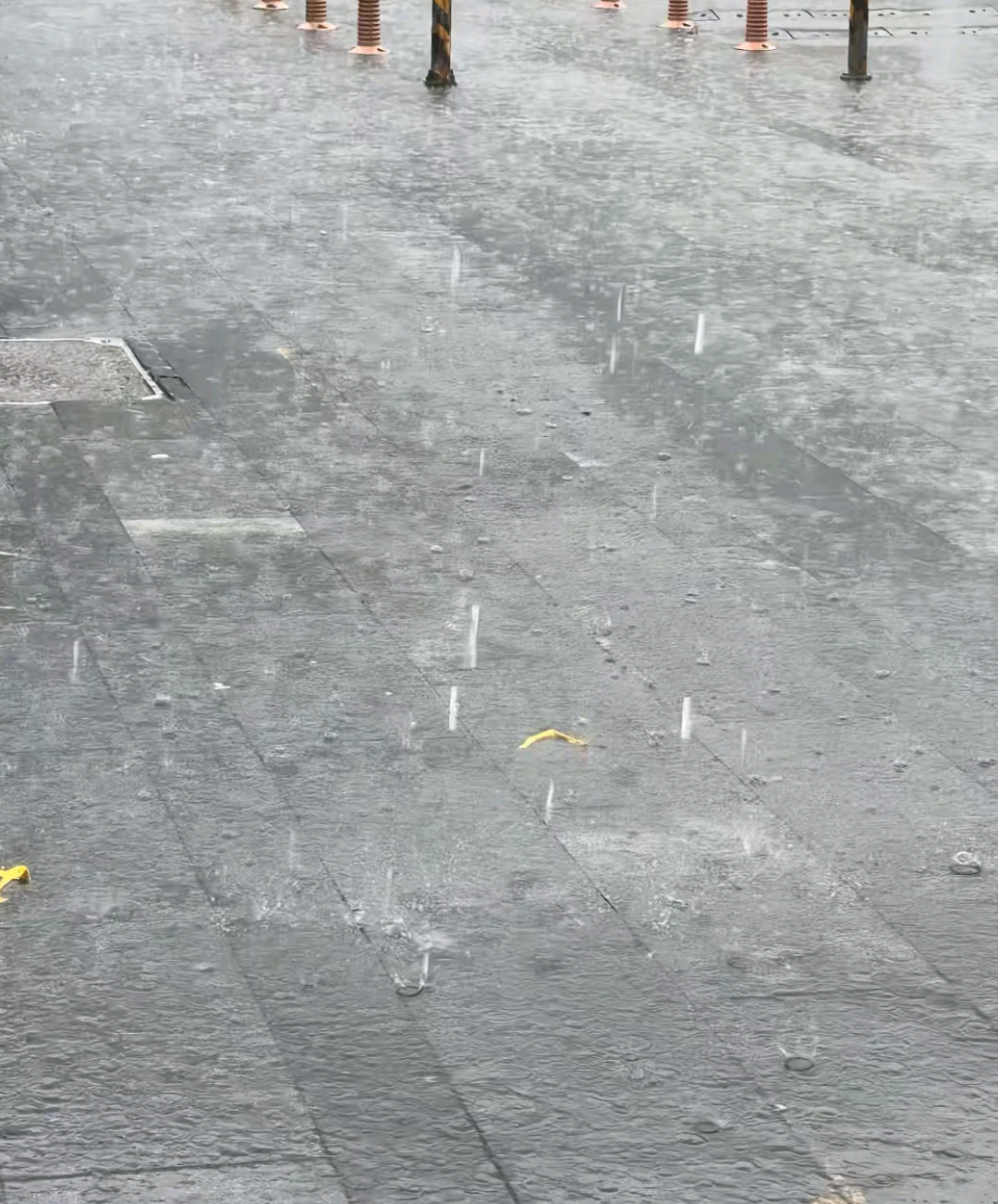 温州暴雨生活不便温州苍南特大暴雨致积涝我看伦敦未必有温州忧郁，失约的海在这儿看