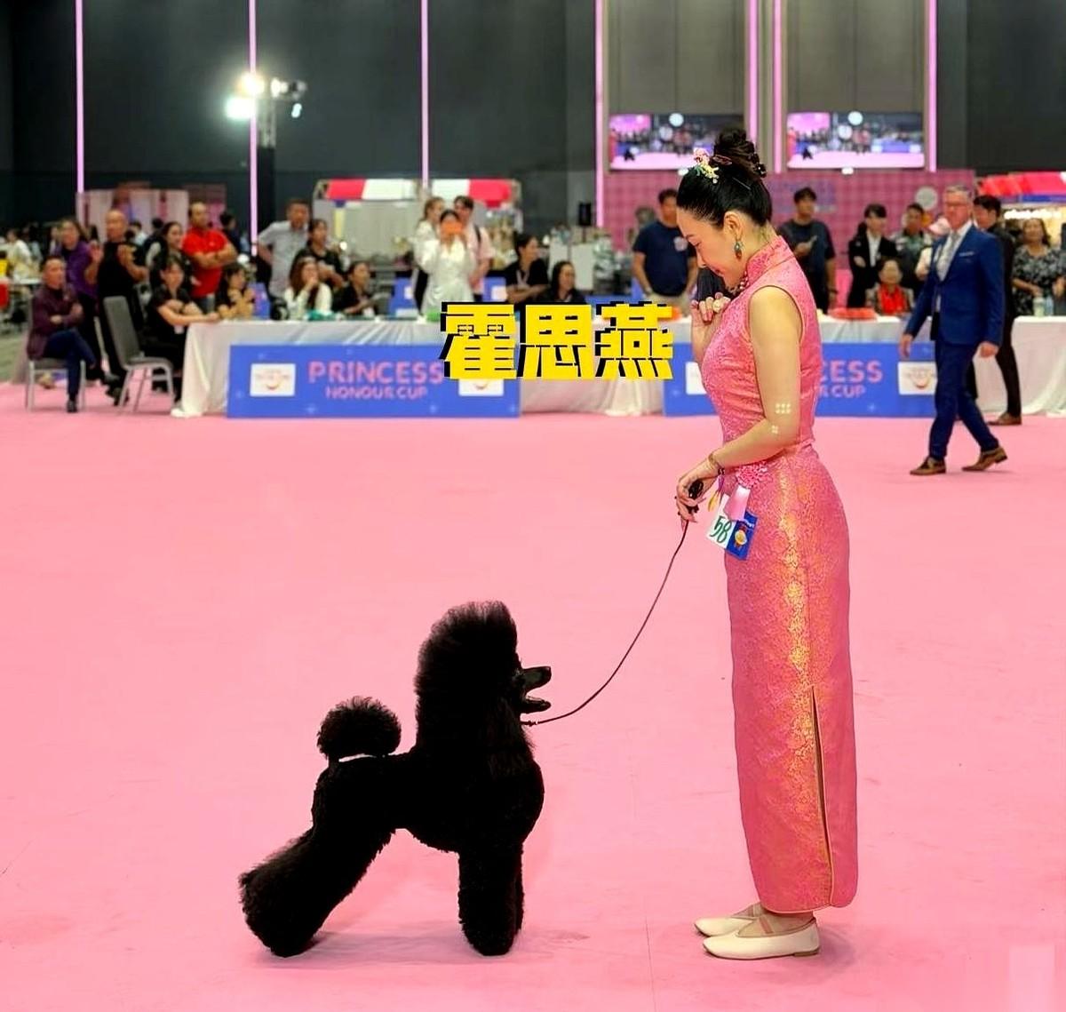 霍思燕家的门槛，就是一条“分界线”。一只小母狗摇着尾巴进来，当场就得改姓，跟着