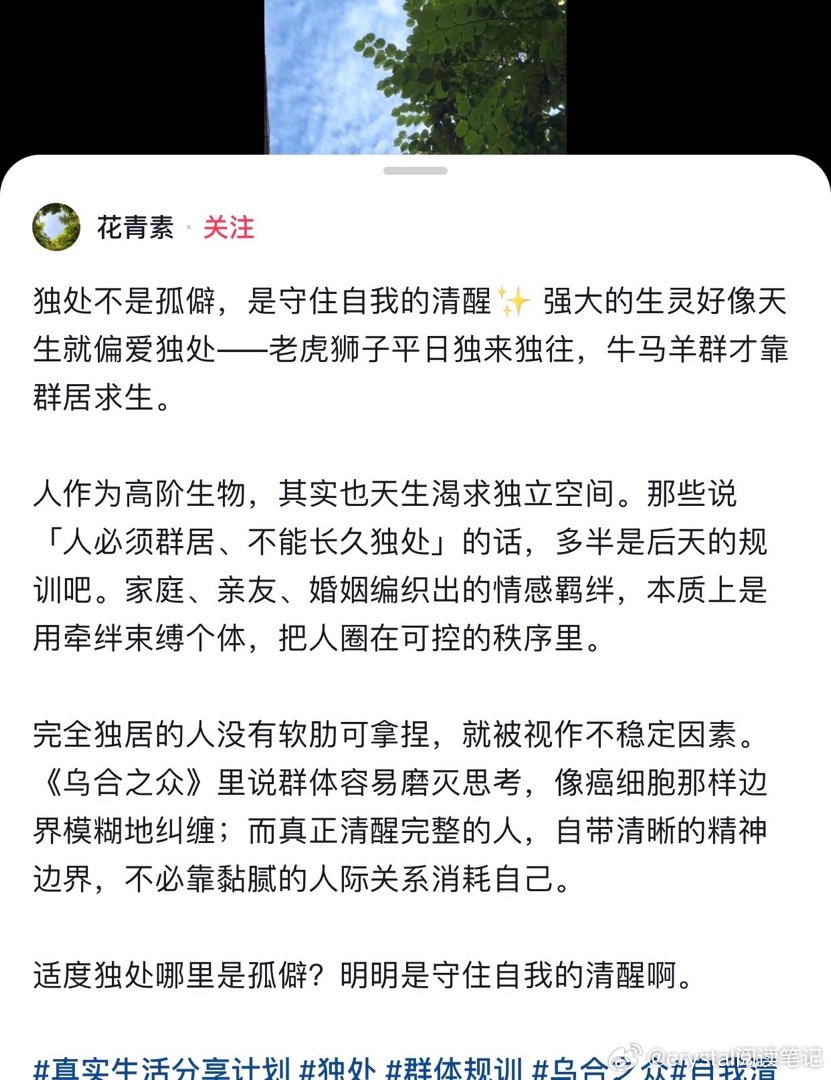 npd不能接受边界烧死女巫。