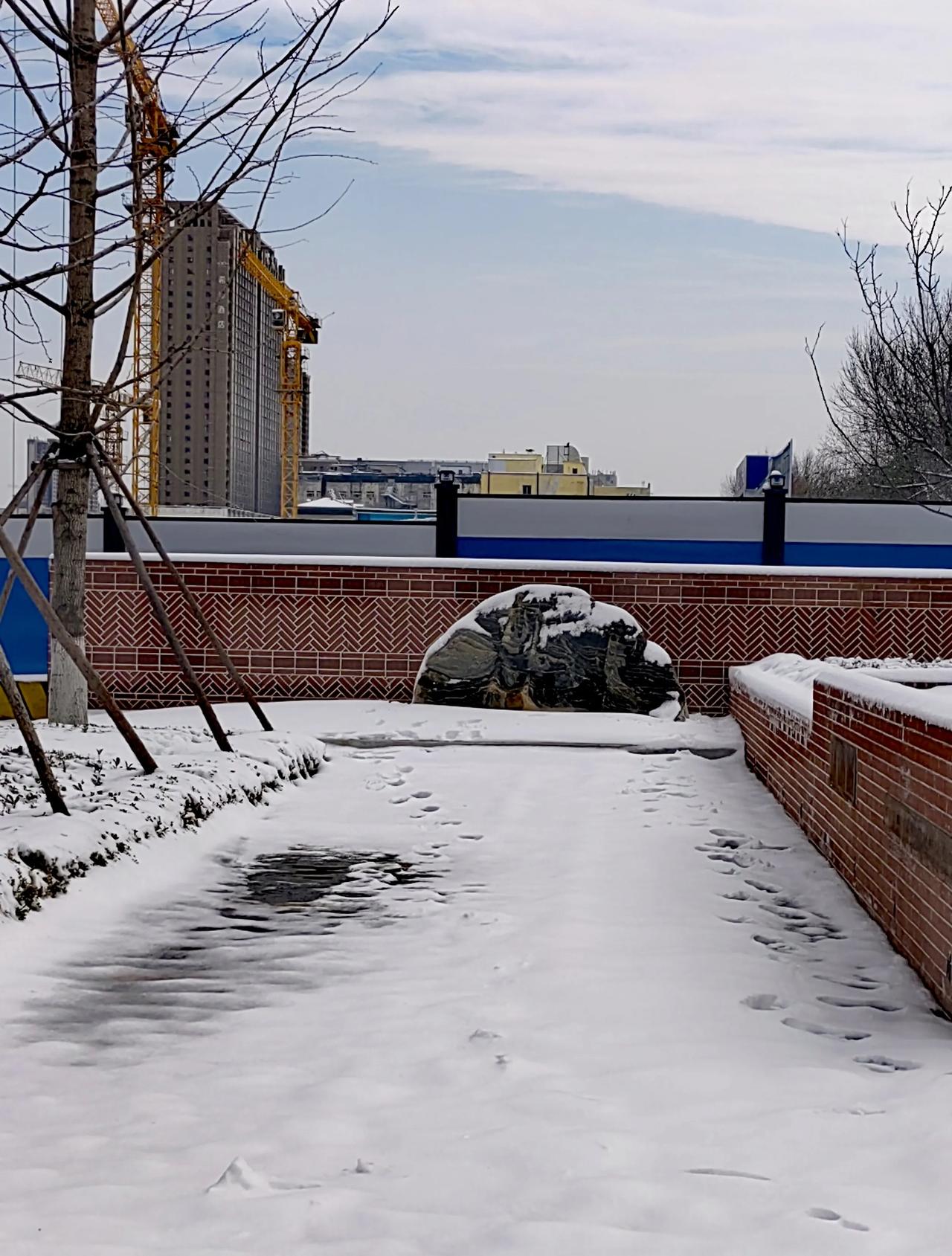 拍一张你的城市美景雪后济南。