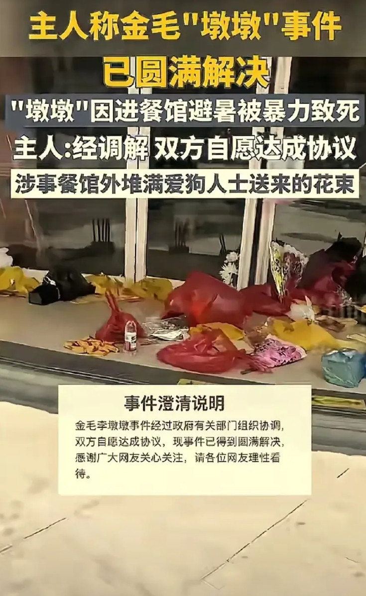 不能让狗成了人世间的主人夜深了，因网上涉狗的事件而愤怒难以入眠，必须也说道说道