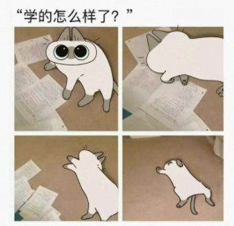 学的怎么样了?