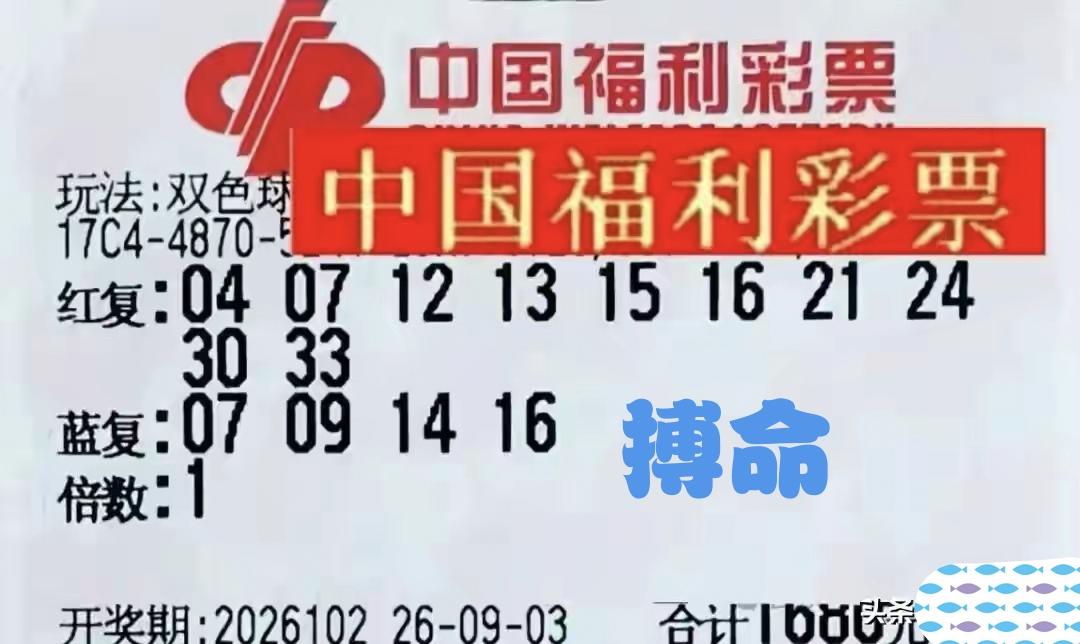 这不是买彩票，这是搏命的节奏。一张彩票花去了将近17000元，就为了博一回那虚