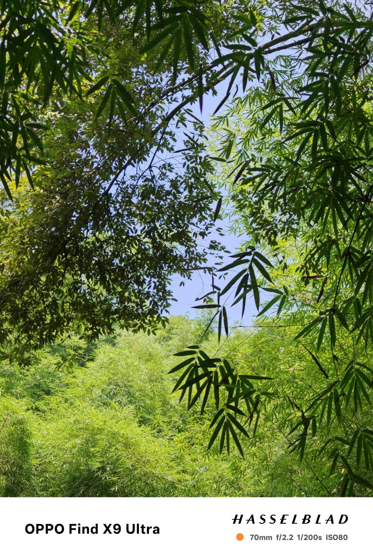 皮缝古道｜徒步通行全攻略，赴一场峡谷古道藏于邛崃群山褶皱之间，皮缝古道这条千年
