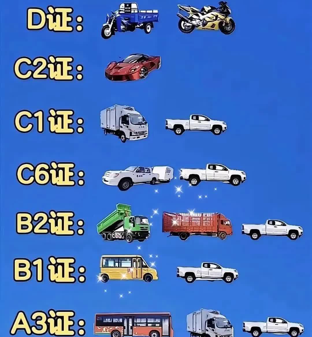 你持有的是什么驾驶证呢？