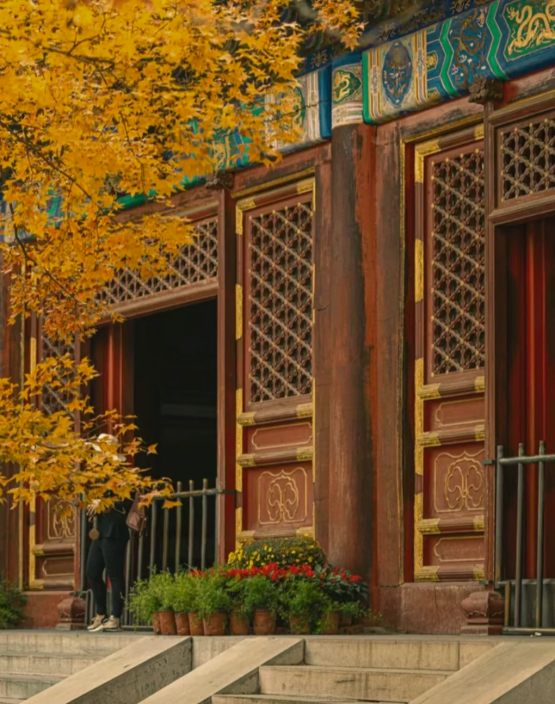 北京旅游，香山红叶打卡攻略！