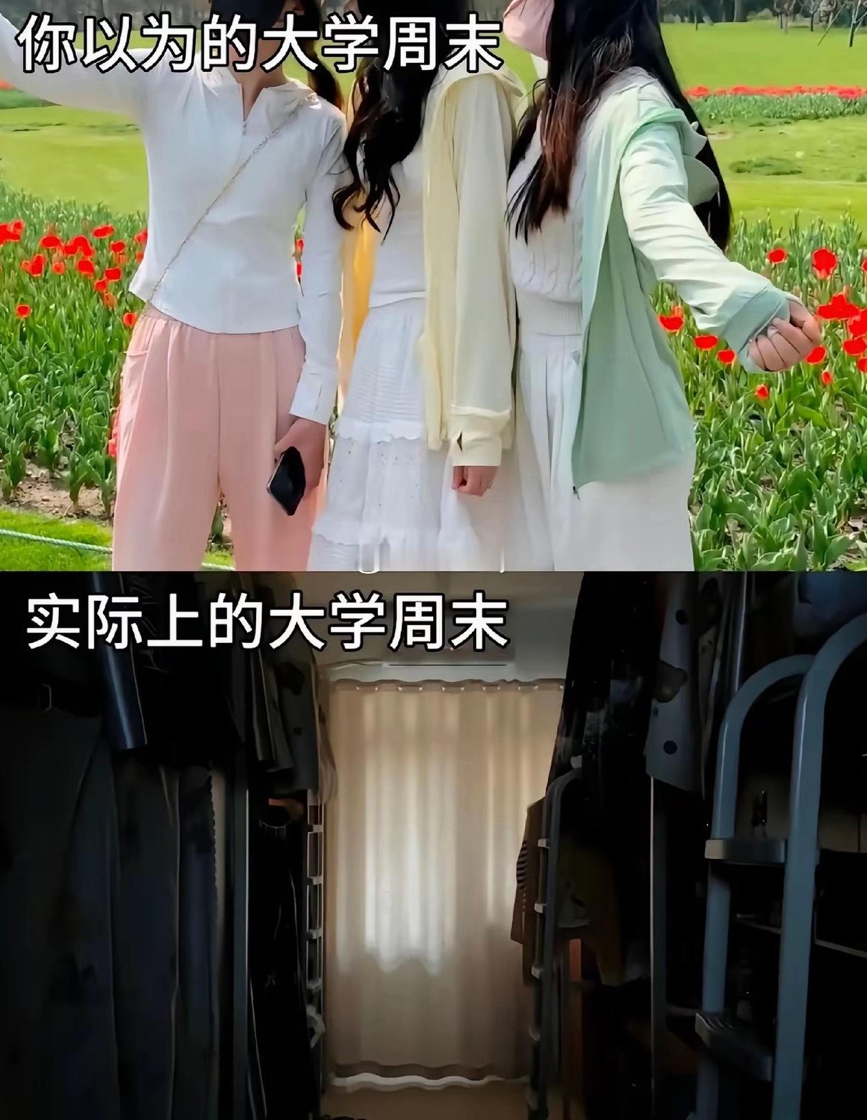 大学生活描述的太真实了