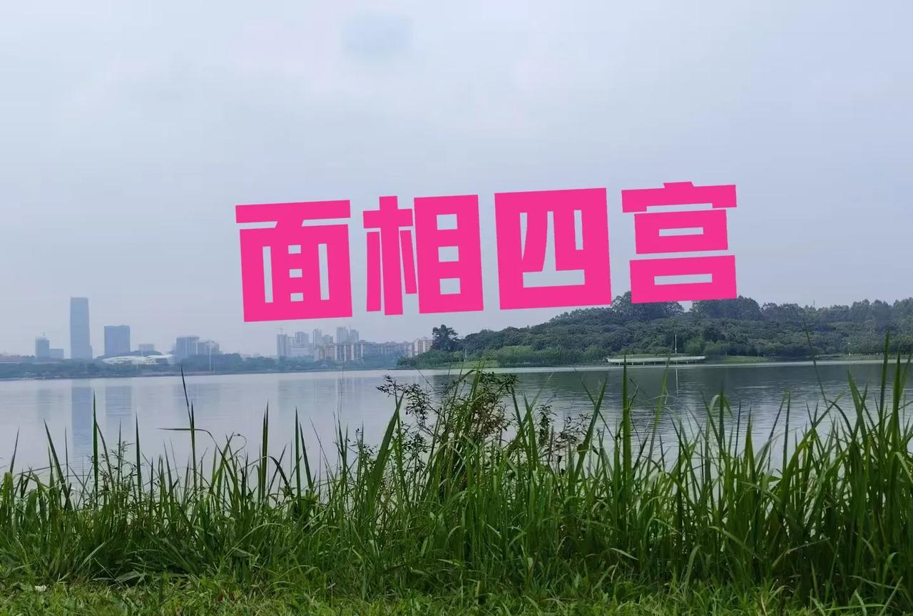 面相四宫命宫（印堂）：明亮无纹者顺遂，悬针纹者多波折。财帛宫（鼻头）：黄润光