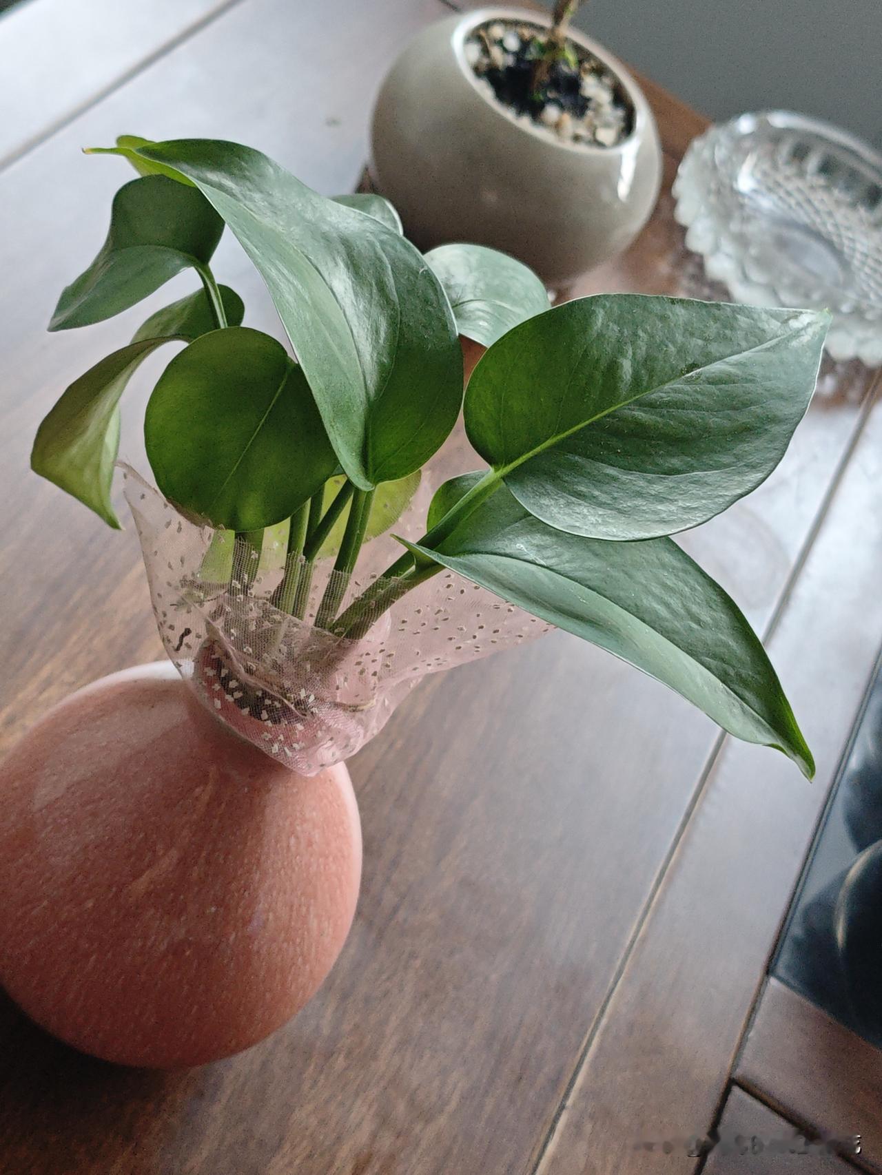 就是这一句话画错了一个儿媳妇在婆家的地位，一个女人嫁到婆家，怎么知道她在婆家的地