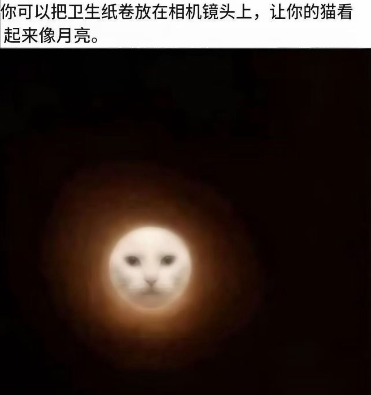 喵​​​