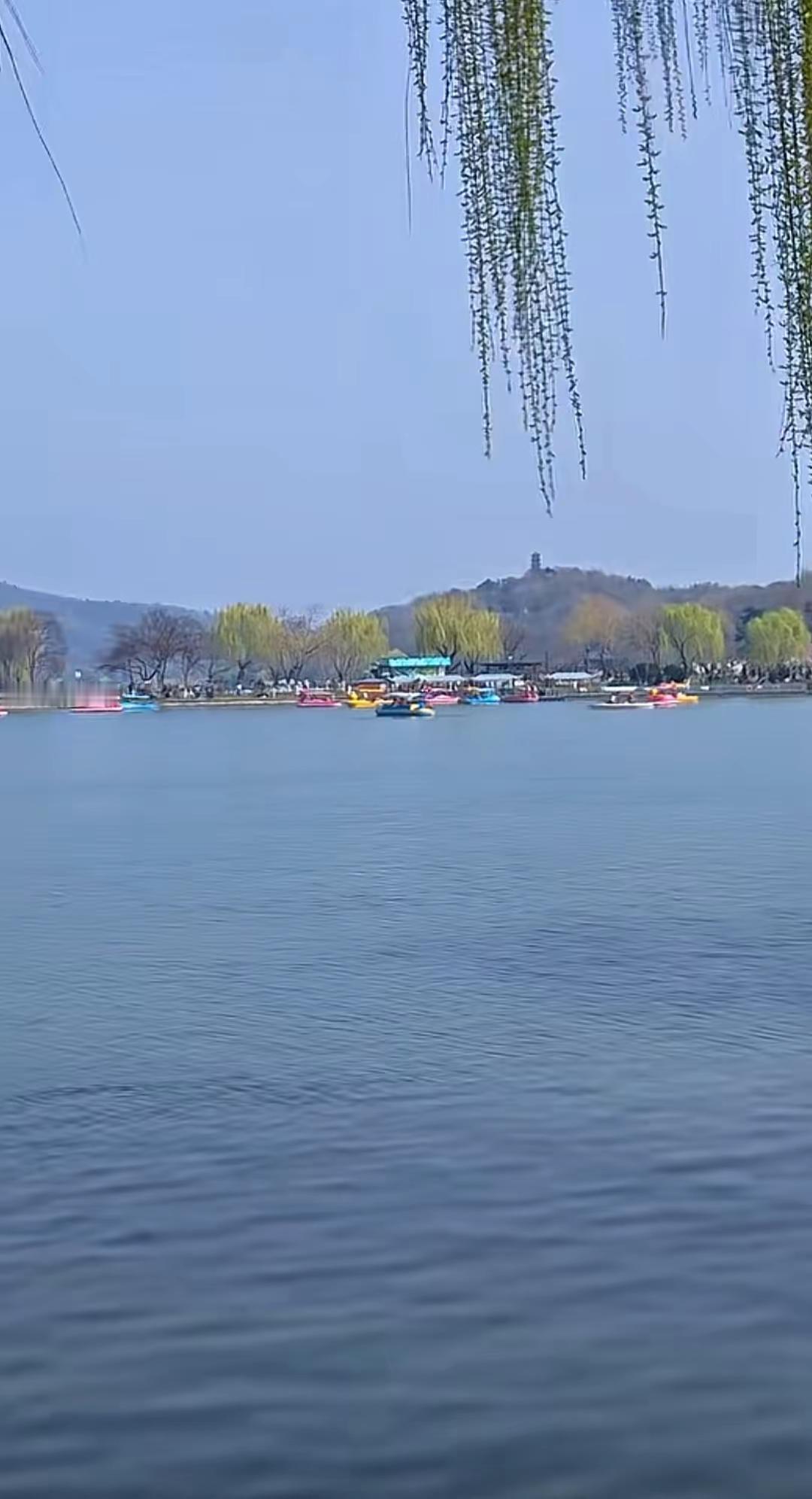 半城山水半城湖，漫步颐和园皇家园林，柳丝轻拂，湖光山色间，仿佛步入一幅古画。🌿