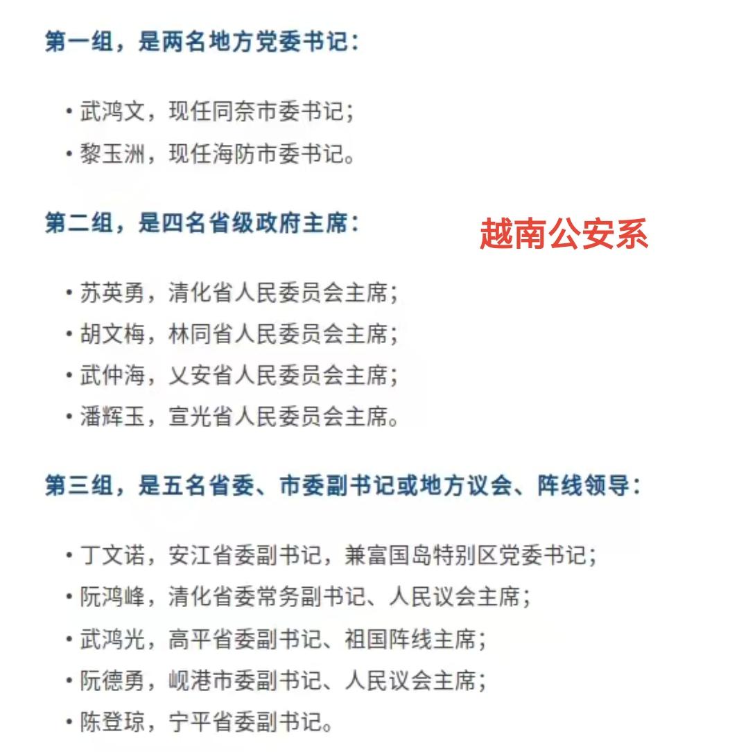不得不说，苏林很重视从老东家提拔人员最近，越南的衙门出现一个很有特点的情况，