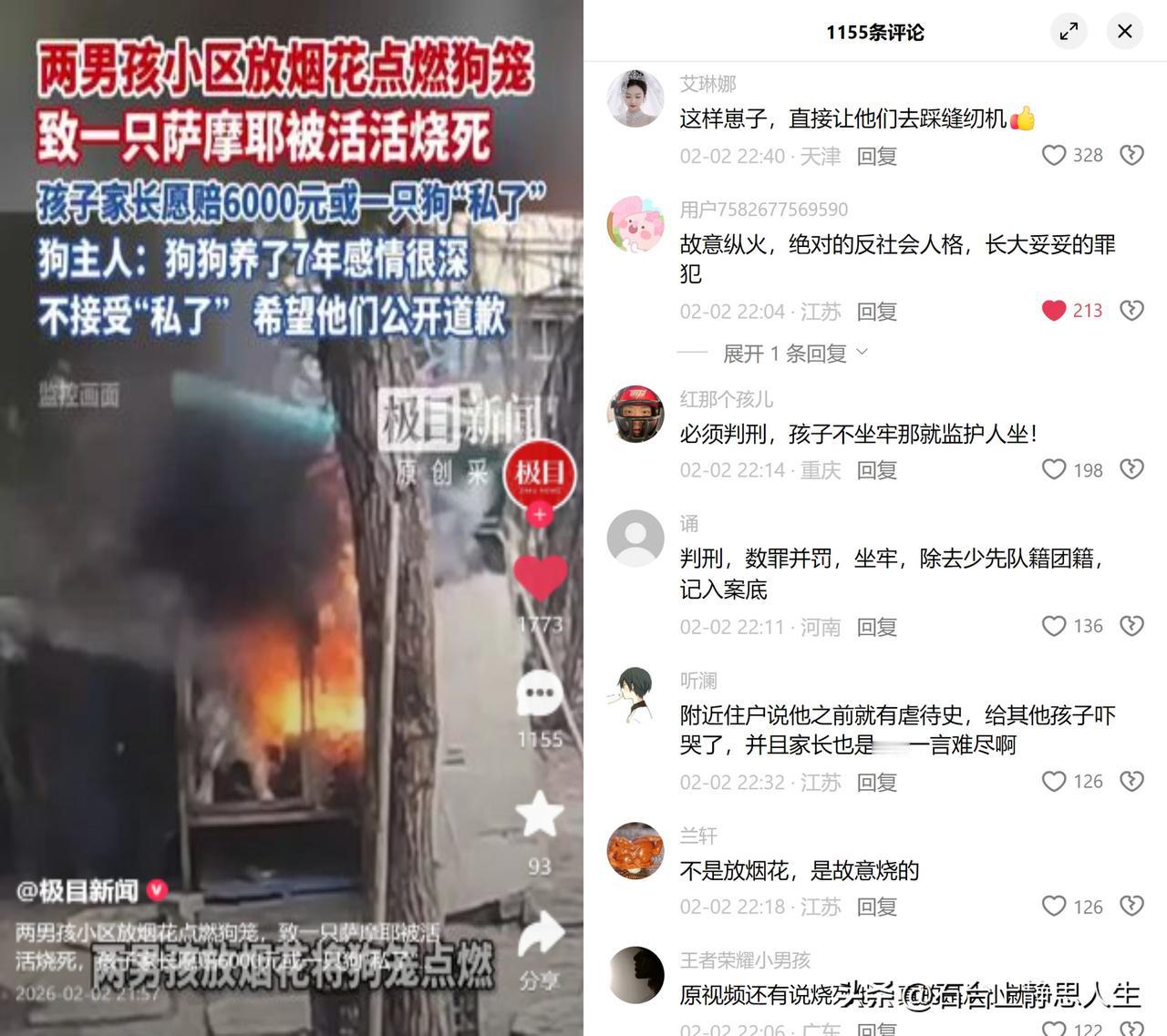 男孩烧狗，家长六千想私了两个半大孩子把点燃的烟花反复扔进狗笼，看着养了七