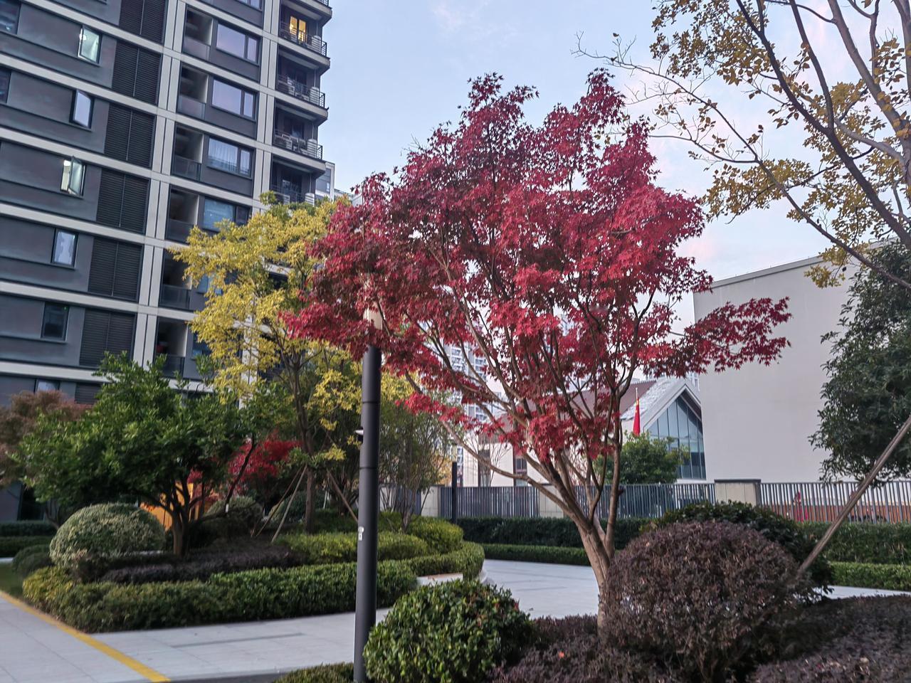 支持艾滋病纳入婚检并告知配偶，但也一定有人很难接受配偶有艾滋病，这也是情理中的事