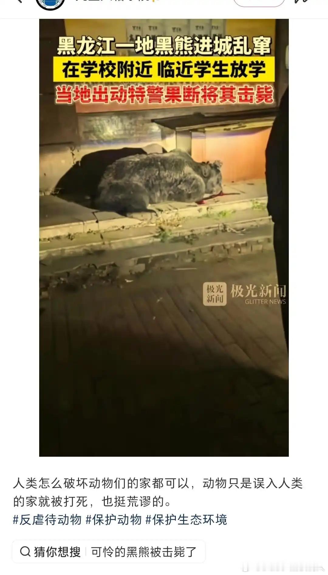 你家里来一只就不这么想了