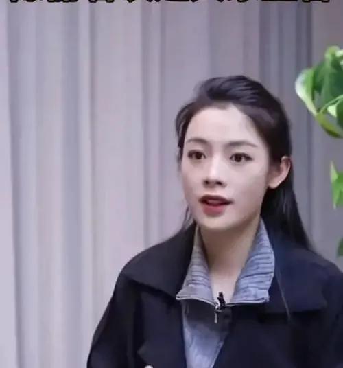 2025年5月，南京大学教授苗怀明因指正陈丽君“贾宝玉是长子长孙”的口误，遭粉丝