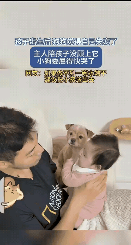 狗狗也是有丰富情感的，看得人心里软软的，忍不住想抱抱它~这小模样一看就是心里