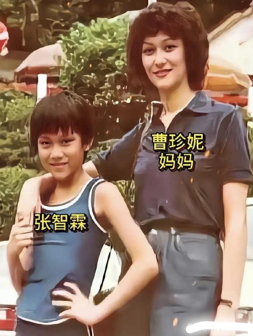 1982年那张儿时张智霖和妈妈的合影，瞬间就懂了他的帅根本就是刻在DNA里的。