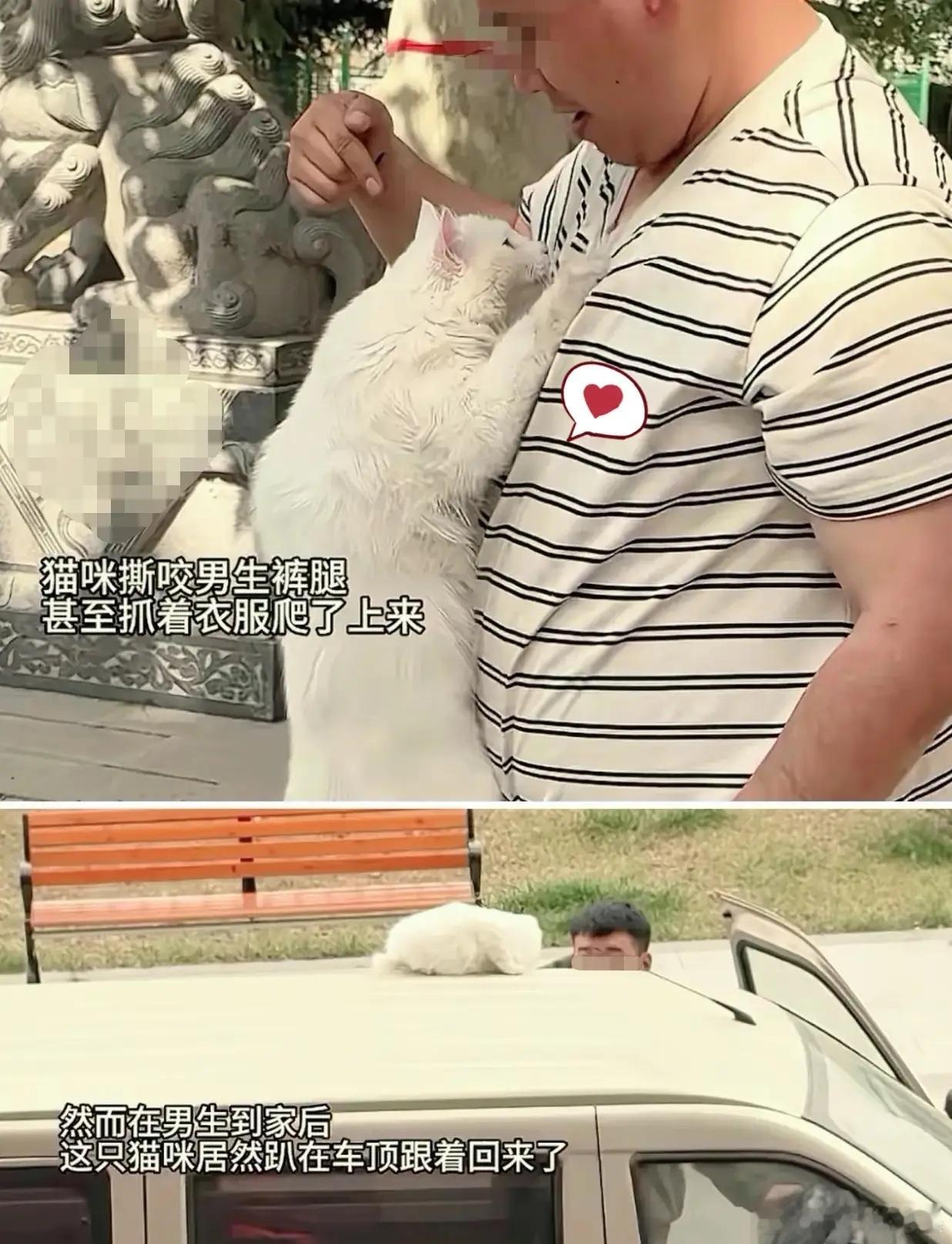 “科学都无法解释了”！男子一早开车去给寺庙送一些瓜果蔬菜，可就在他靠在石柱上休息