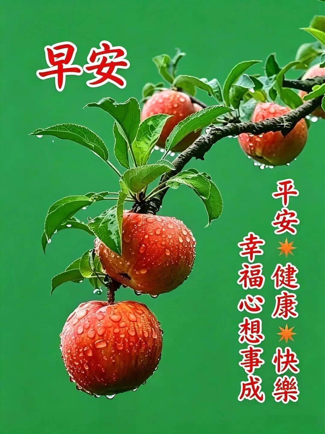 🌹🌞最亲的亲人，早起第一份福气雷打不动要给你。愿你今天气色上佳，精神矍铄，?
