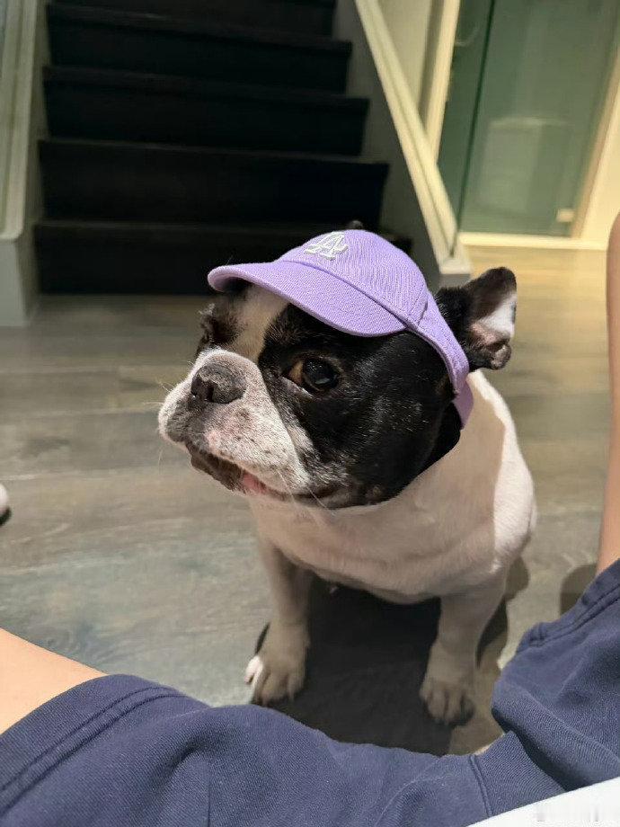 “鹿晗鹿晗对馒头操碎了心咱就说这个摇椅馒头到底什么来头？看给小鹿操心的